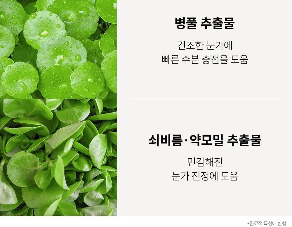 [1등속눈썹영양제] 마르시끄 속눈썹 영양제 5종 중 택1 상세페이지 65